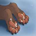 1480697999.fly_paws02_1.png