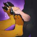 1478034138.fly_kintusepaws.png