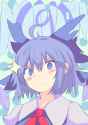 __cirno_touhou_drawn_by_uchisukui__d17cbf7ff56525946faac59ad80b362a.png
