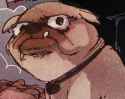 disappointed pug.jpg