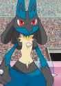 lucario3.gif