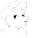 Cat.png