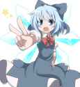 __cirno_touhou_drawn_by_do_4_rt__sample-80e5ad4f48aba3c7bfe3a0138e70882d.jpg