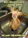 madchicken.jpg