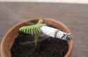 venus-flytrap-charlie-santa-costume-kluna-tik-9.gif