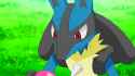 IMG_0291.gif
