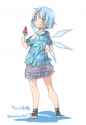 __cirno_touhou_drawn_by_toutenkou__sample-8ee1d0e6857f8b99504f76cfe56de27a.jpg