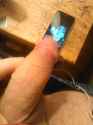 IMG_20161210_013907.jpg