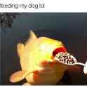 rektarino.v4_1386573900120680373_1921614732.jpg