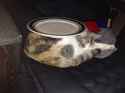 IMG_20160102_200041.jpg