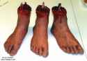 Feet.jpg