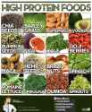 ! high-protein-foods.jpg