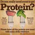 $ Broccoli vs. Beef.jpg