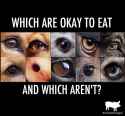 vegan.png