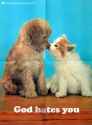 inspire04www-scarfolk-blogspot-com.jpg