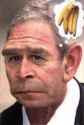 8130~George-W-Bush-Monkey-Posters.jpg