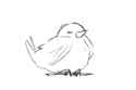 birrb.png