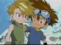 matt-and-tai-digimon-01-35459467-320-240.jpg