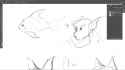 file.png