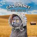 cat-bonnets-1.jpg
