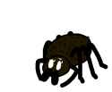 spodr.png