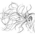 hair.png