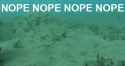 nottoday.gif