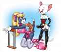 23519_tom-a-jerry.jpg