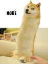 noge.jpg