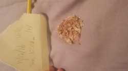 20161211_100535.jpg