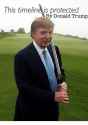 this_timeline_is_protected_by_donald_trump_2505208.png