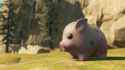 cfolivethepig-aacf5194da014bd7aecb4e354d8a2c7e.jpg