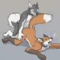 Not gay stuff..jpg