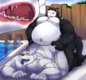 8bd0fa7cd5ccd471818fd181e74cbfad354bff72.jpg