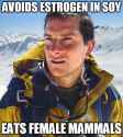 estrogen in soy.jpg
