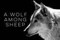 $ wolf -.jpg