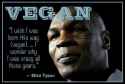 ! 9506-vegan-mike-tyson-quote.jpg