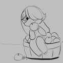 bumpbu.png