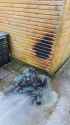 IMG-20161031-WA0002.jpg