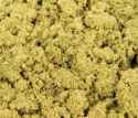 kief.jpg