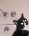 20161130_013410.jpg