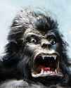 Ape.jpg