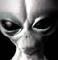 Grey_Alien5.jpg