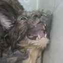 C__Data_Users_DefApps_AppData_INTERNETEXPLORER_Temp_Saved Images_1480977397874.jpg