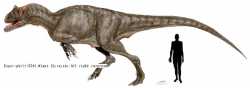 AllosaurusSP2008_2689.jpg