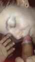IMG_8152.gif