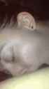 IMG_8153.gif