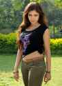 south actress Komal Jha jeans Photos (1).jpg