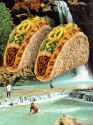 tacos.gif