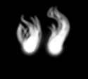 34c1341b-c489-4c52-b701-af660490a830.png